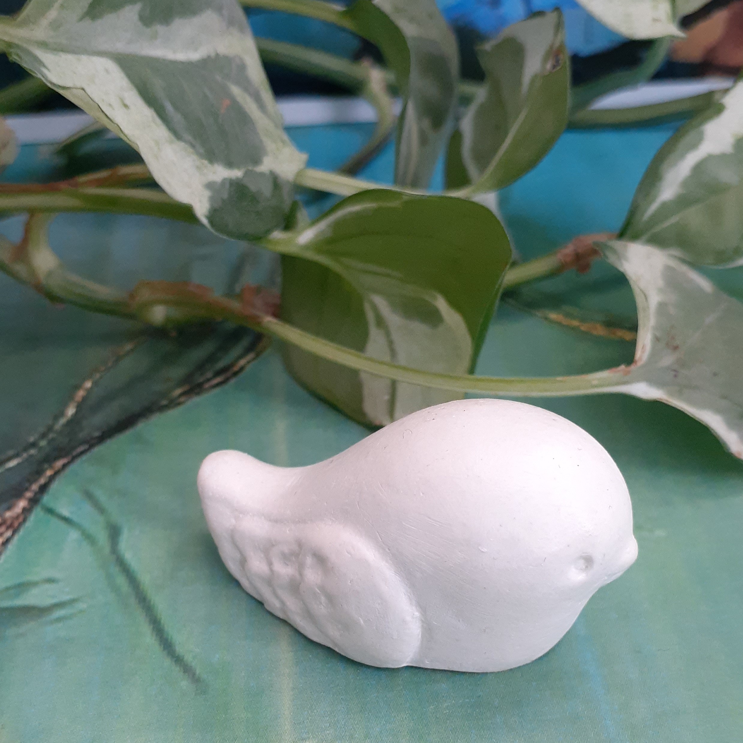 بیس خام گنجشک