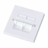 فیس پلیت 2 پورت کی نت K-NBP860002