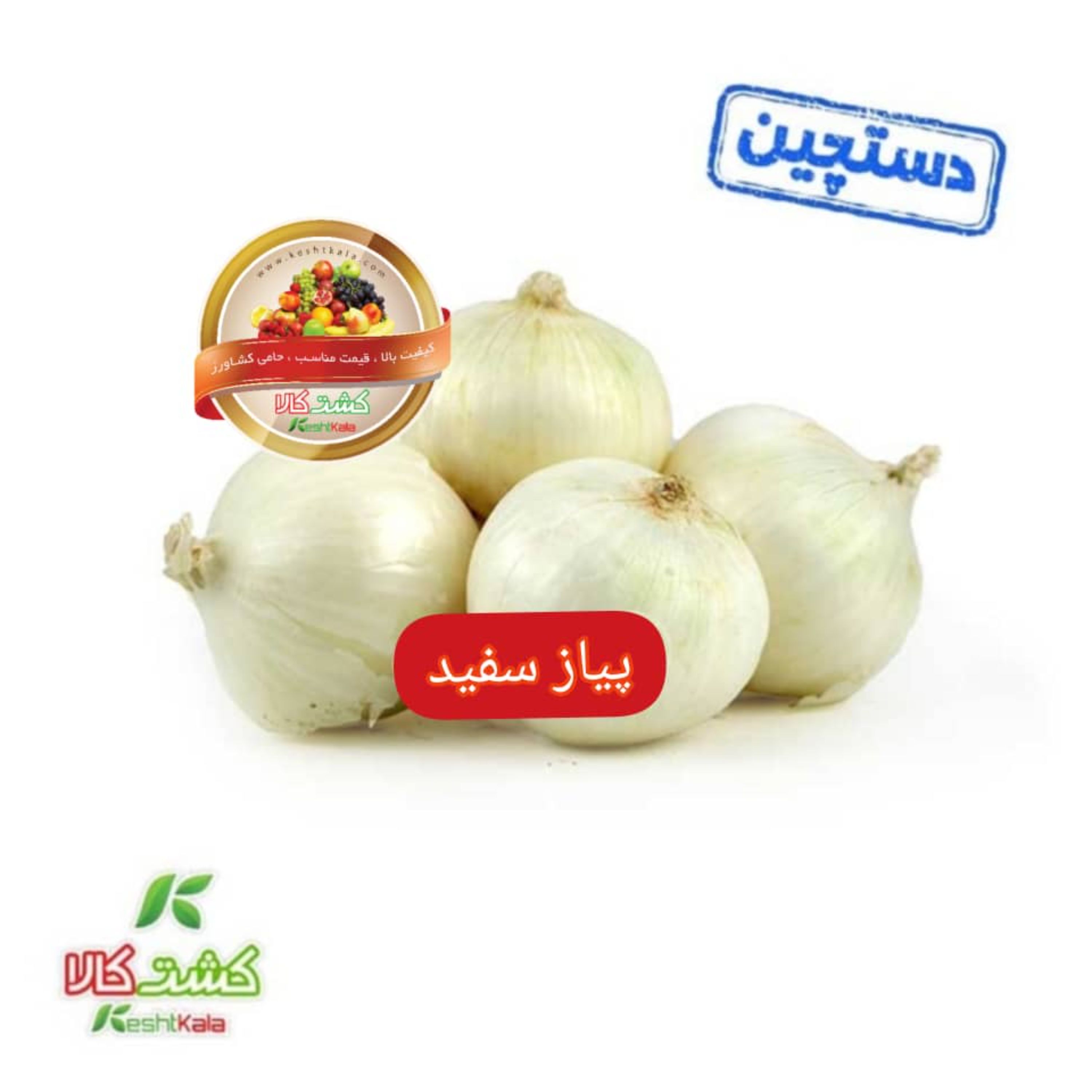 پیاز سفید ریز دستچین