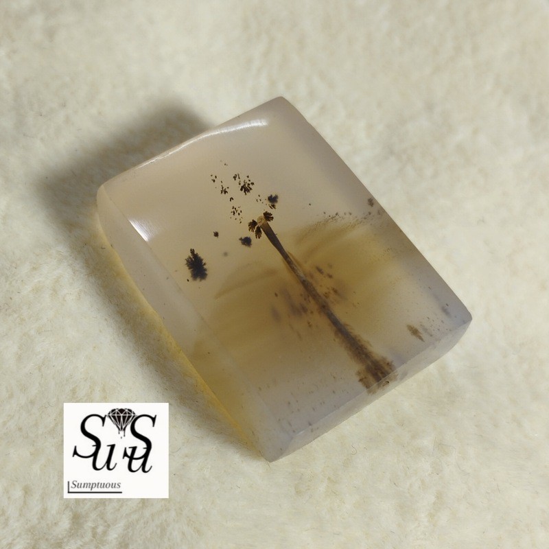 نگین عقیق شجر طبیعی و معدنی  افغانستان سوآس گالری با ارسال رایگان و سریع تر از موعد


با ارسال رایگان و سریع تر از موعد 