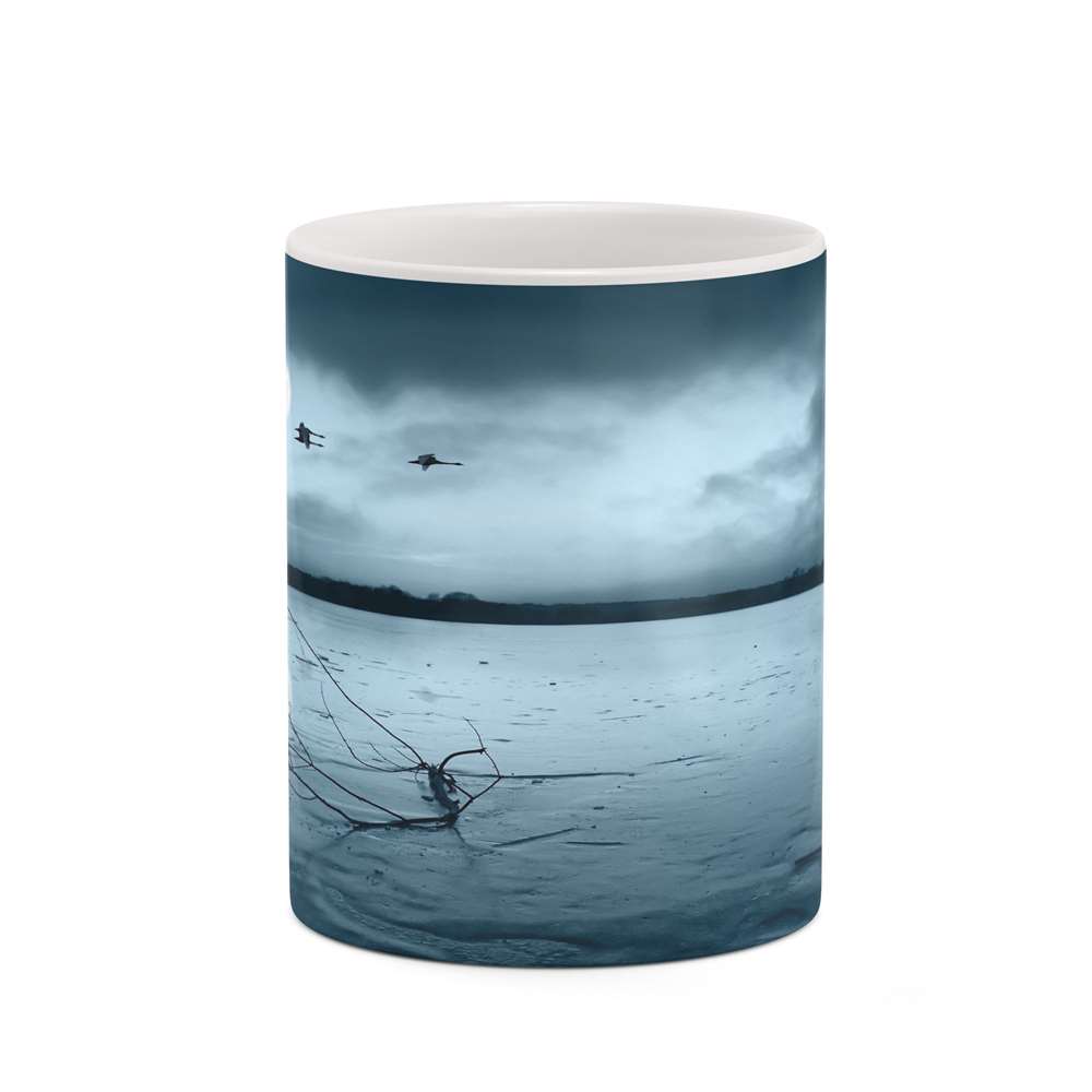 ماگ کاکتی طرح فانتزی مدل mgh18983