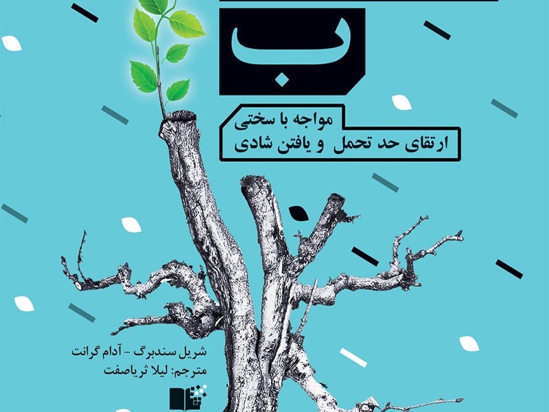 گزینه ب: مواجهه با سختی، ارتقای حد تحمل و یافتن شادی