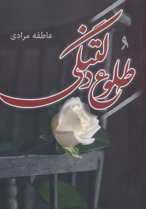 طلوع دلتنگی - ناشربوک | خرید آنلاین کتاب