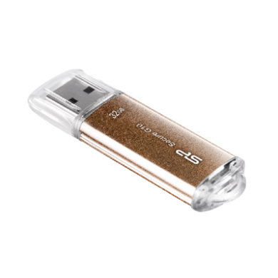 Silicon Power Secure G10 32GB USB flash
