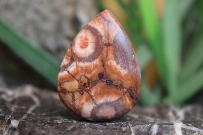 جاسپر گل افتابگردان(جاسپر چشم پرنده)