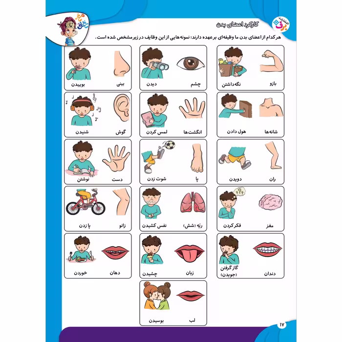 کتاب کار مغز خلاق مفاهیم 1 میبینم یاد میگیرم اثر فاطمه قدیانی و مهری عربیه انتشارات برف