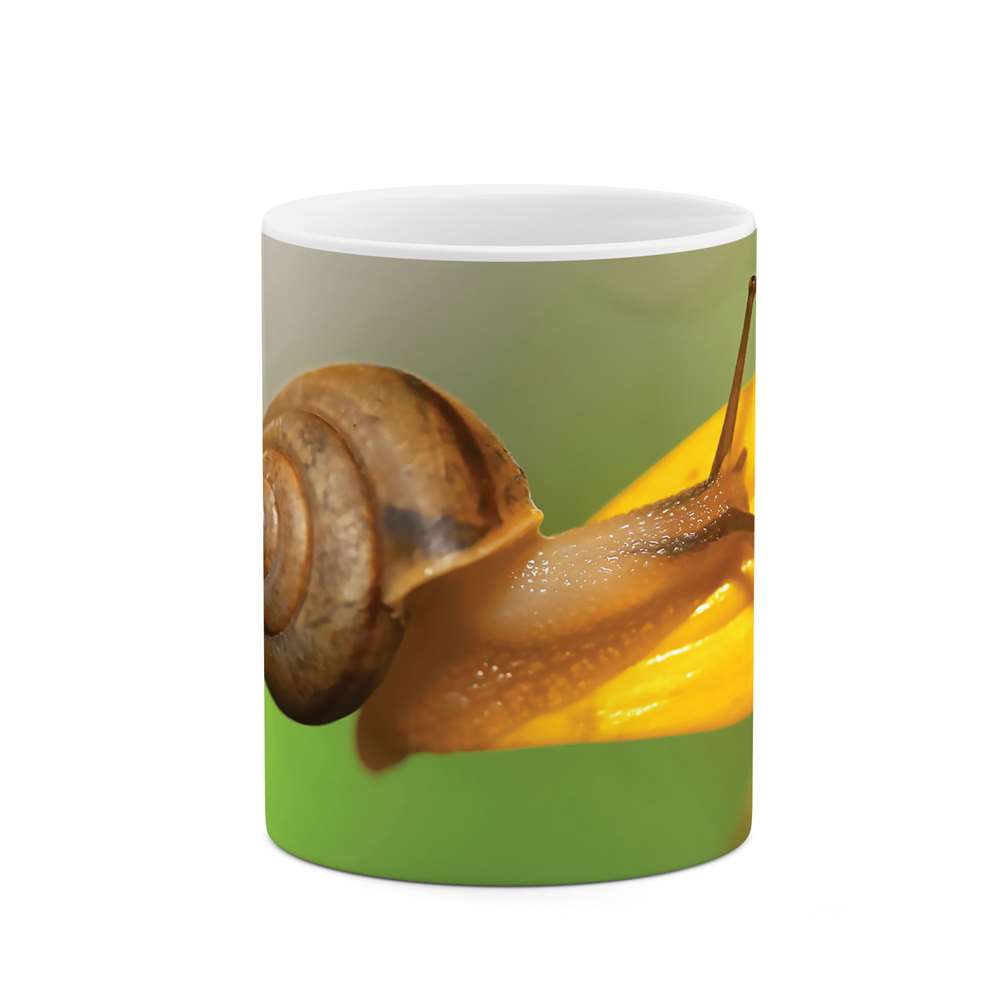 ماگ طرح حلزون مدل mug04005