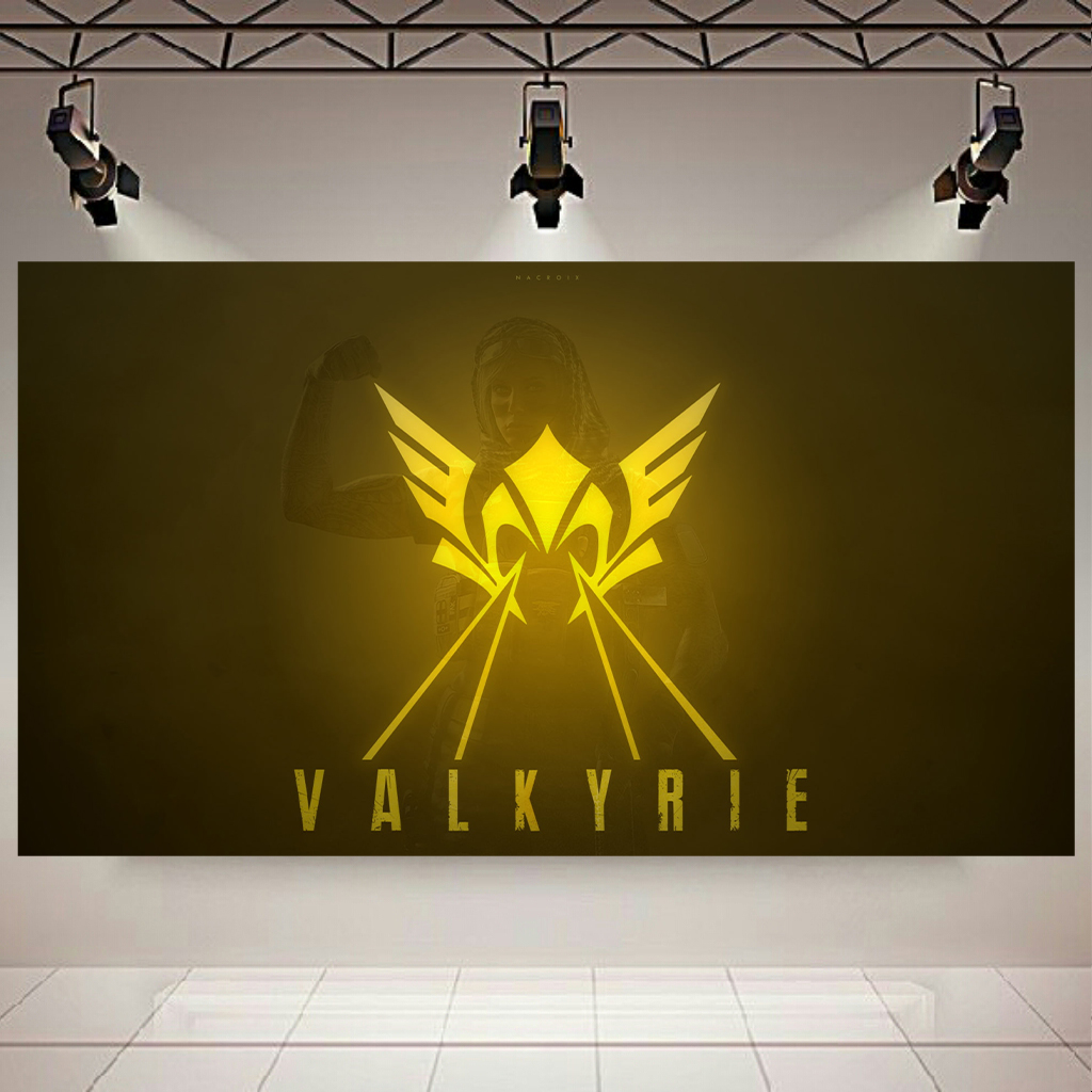 تابلو شاسی طرح Game مدل Rainbow six siege (VALKYRIE) کد AR3590