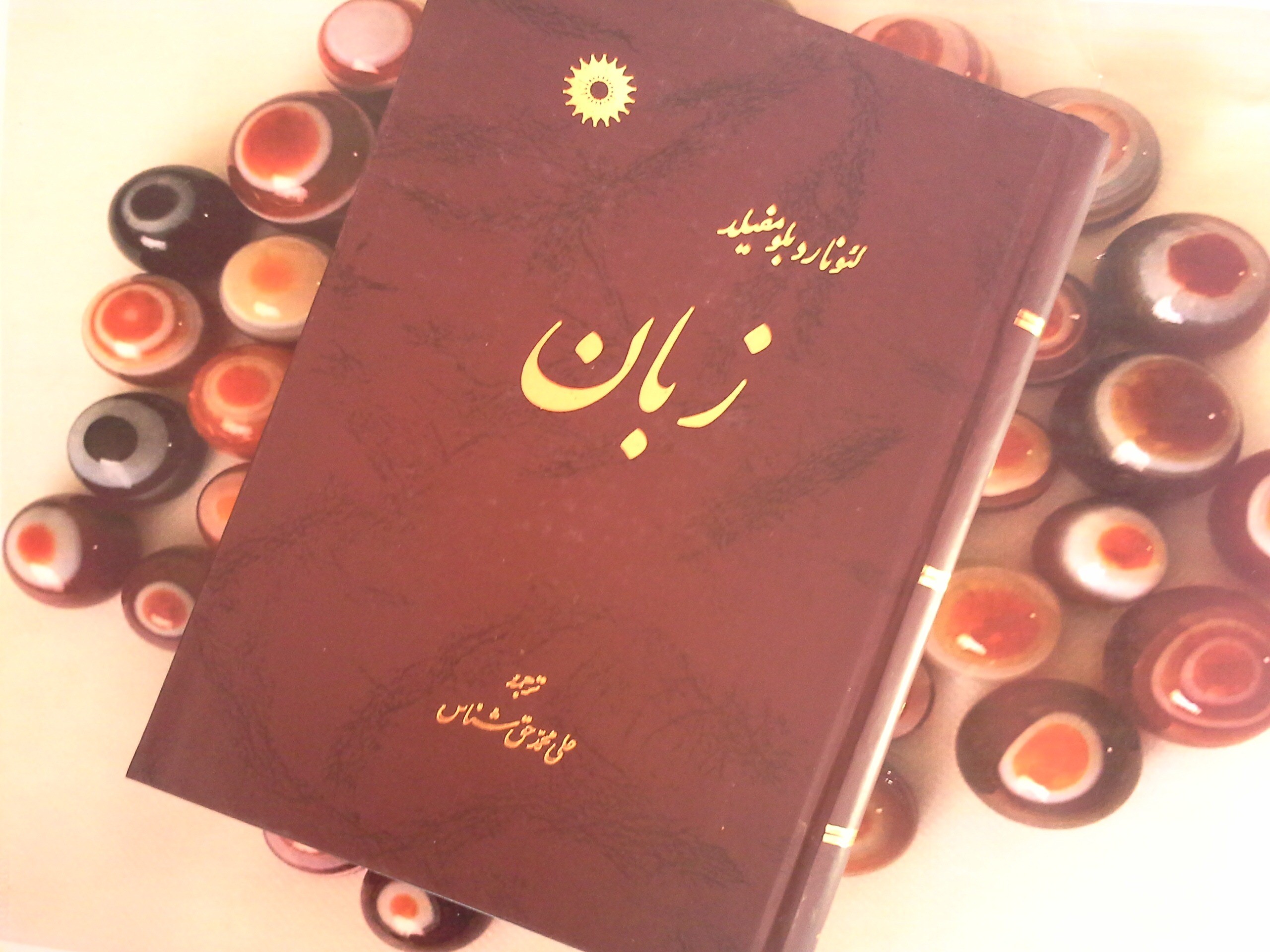 کتاب زبان - خرید با تخفیف چهل درصد از کتابفروشی دایره قهوه ای -
