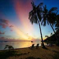 خرید و دانلود عکس Nature-Part-8 کد 37270 | پیک فاکس | Pic Fox