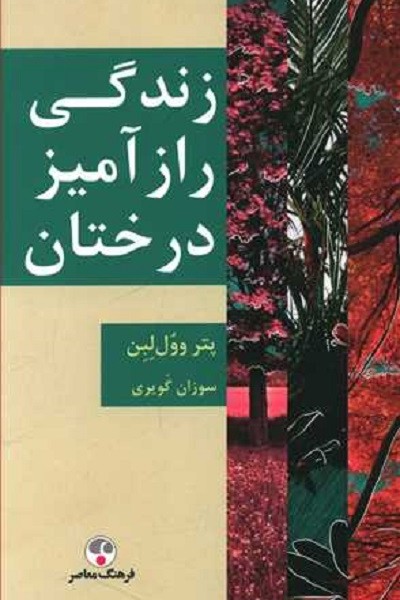 زندگی راز آمیز درختان