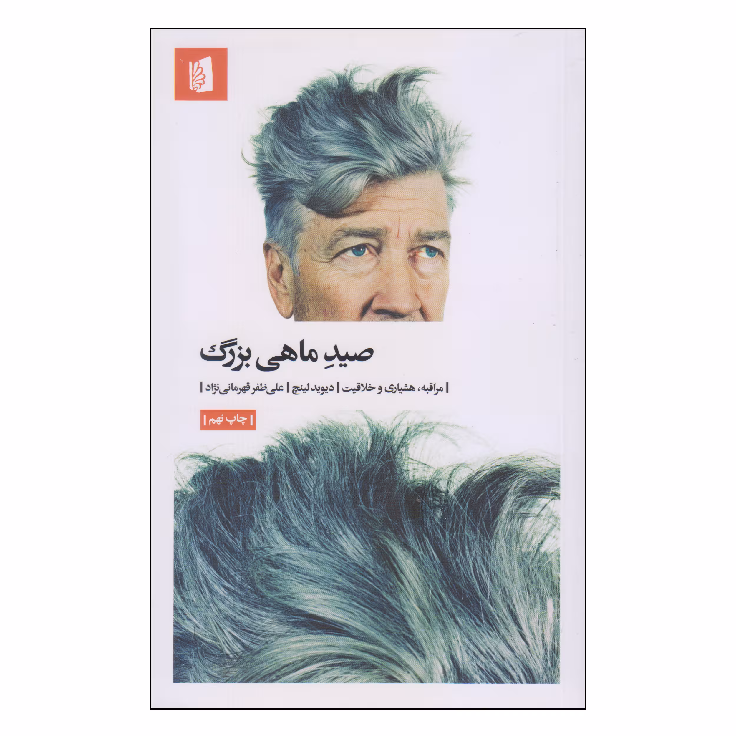 کتاب صید ماهی بزرگ اثر دیوید لینچ نشر بیدگل