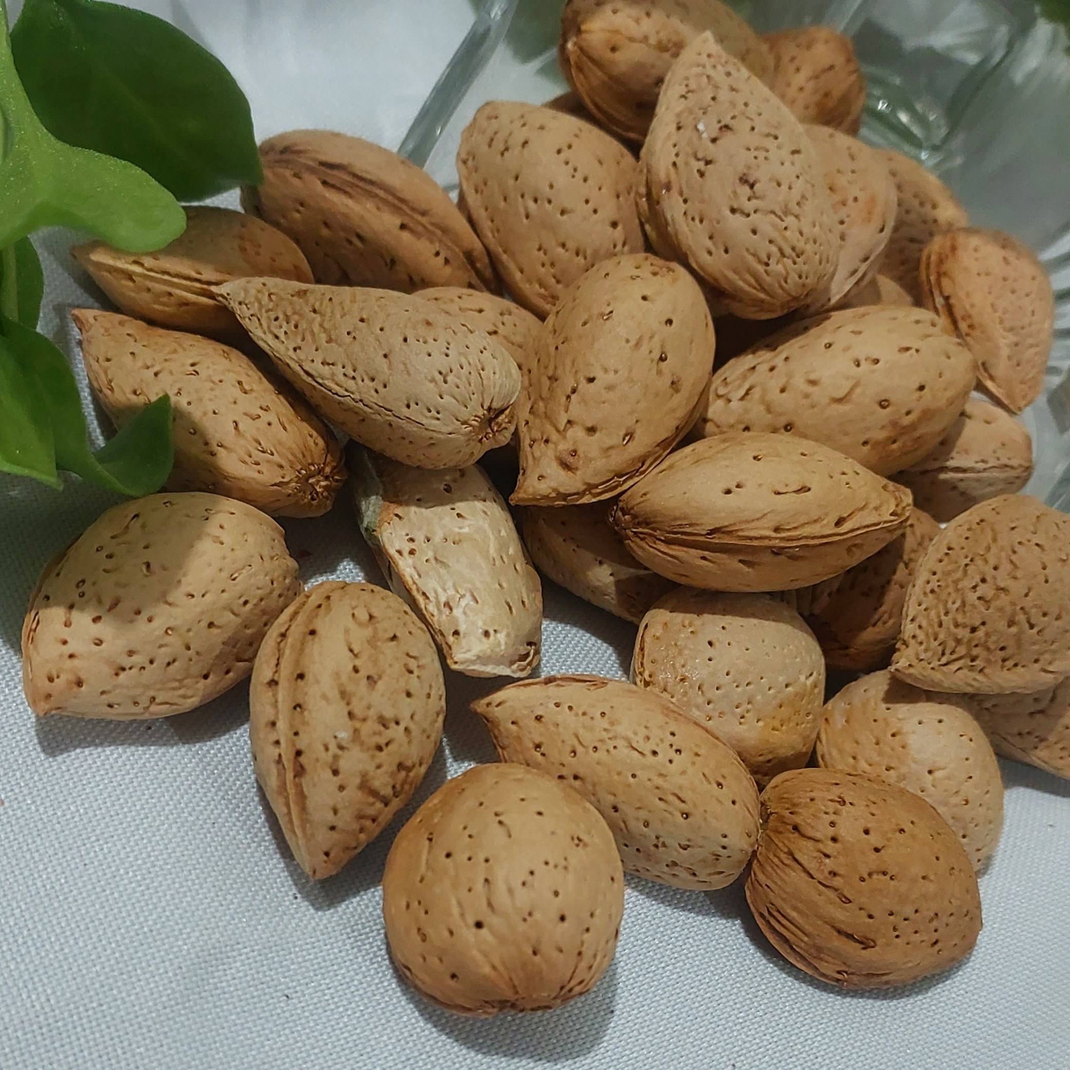 بادام درختی درجه یک 1000 گرمی