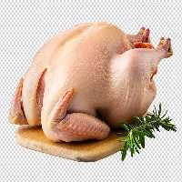 عکس PNG مرغ تازه روی چوب | گرافیک با طعم تربچه