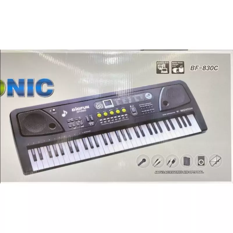 اسباب بازی ارگ سایز بزرگ سایز 85 سانتی متر ارسال رایگان