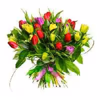 خرید و دانلود عکس Flower-Part-2 کد 17739 | پیک فاکس | Pic Fox