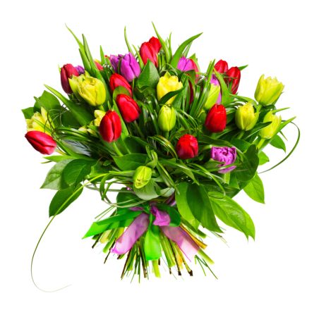 خرید و دانلود عکس Flower-Part-2 کد 17739 | پیک فاکس | Pic Fox