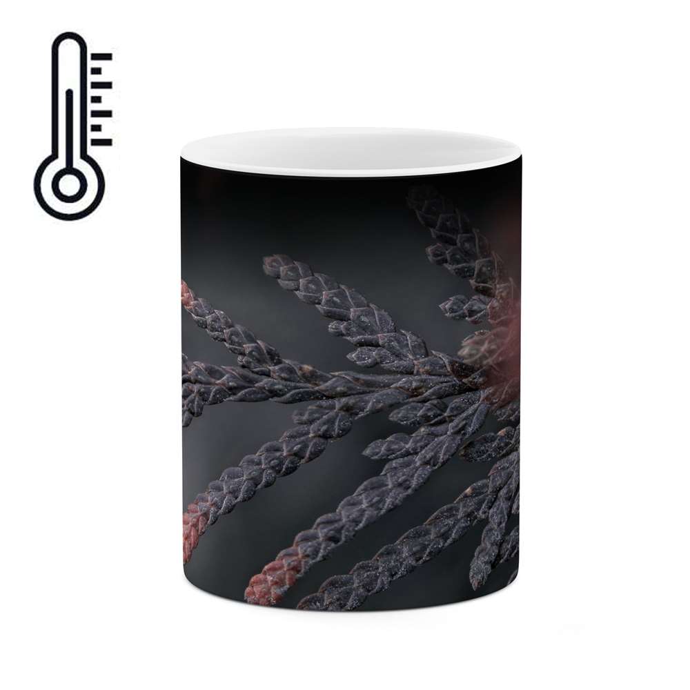 ماگ حرارتی کاکتی طرح فانتزی مدل mgh16942