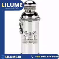 عطر ادکلن الکساندر جی سیلور آمبر 100 میل مردانه – زنانه