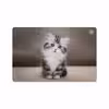 برچسب پوششی ماهوت مدل Cat-2 مناسب برای تبلت سامسونگ Galaxy Tab S5e 10.5 2019 T725