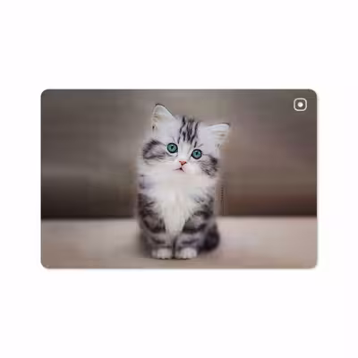 برچسب پوششی ماهوت مدل Cat-2 مناسب برای تبلت سامسونگ Galaxy Tab S5e 10.5 2019 T725