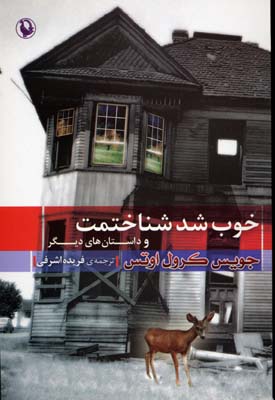 خوب شد شناختمت و داستان های دیگر