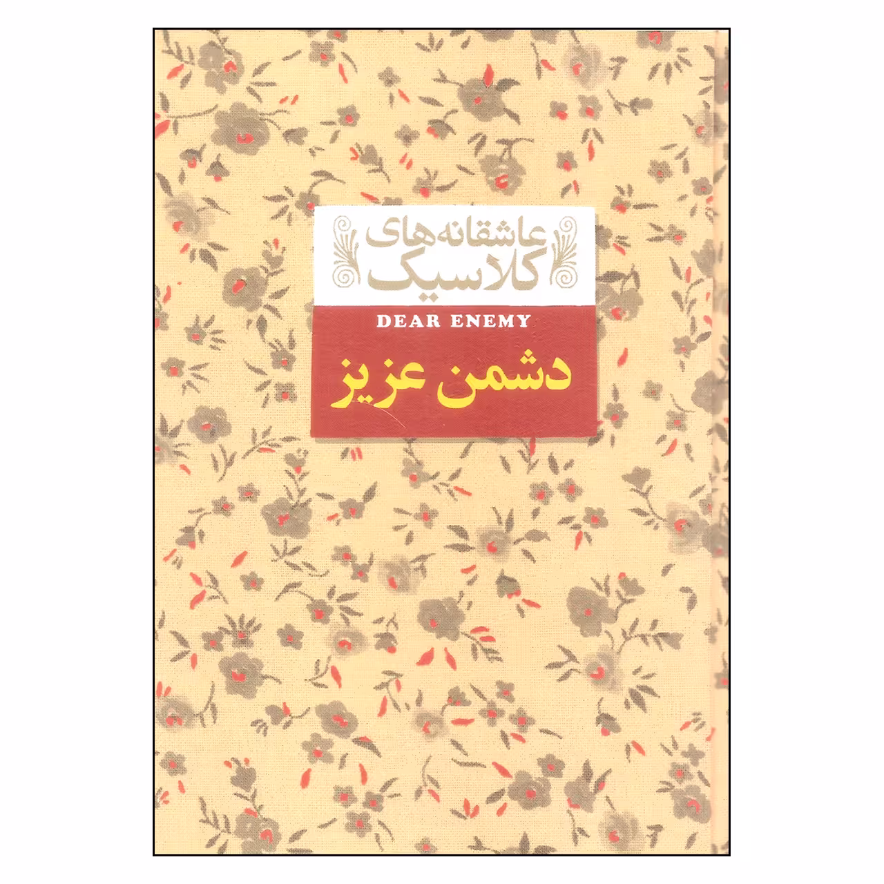 کتاب دشمن عزیز اثر جین وبستر نشر افق