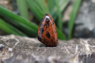 ابسیدین ماهاگونی