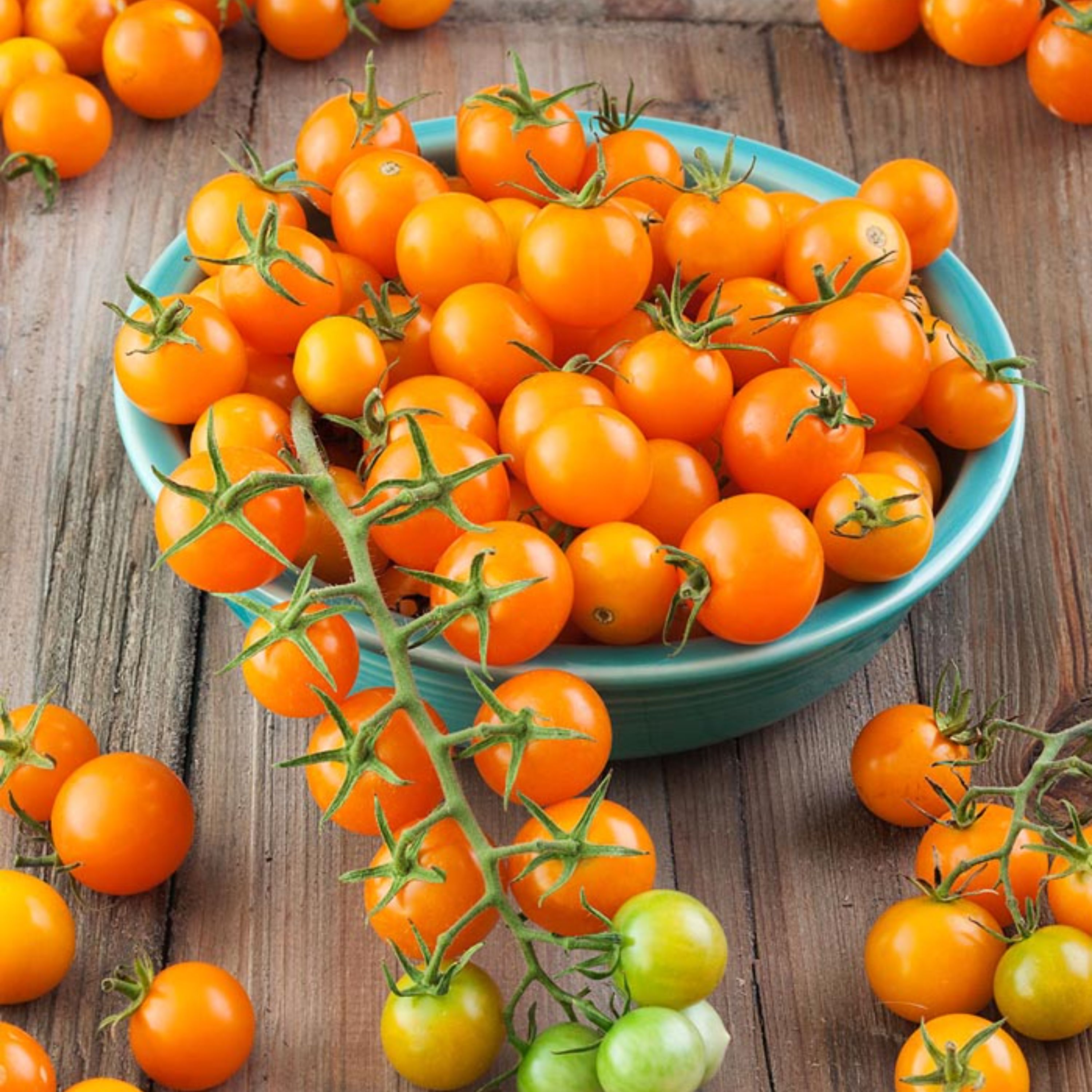 بذر گوجه فرنگی چری نارنجی خوشه ای بسته 20 عددی
