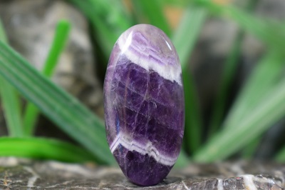 امتیست شورون