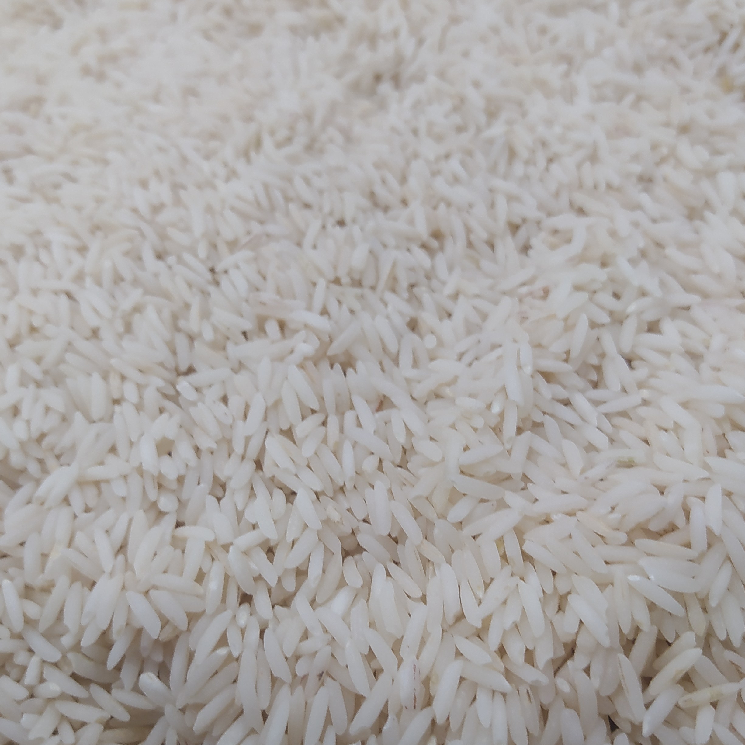 برنج طارم هاشمی شمال خالص باپخت عالی باکیفیت بسته های 10کیلویی