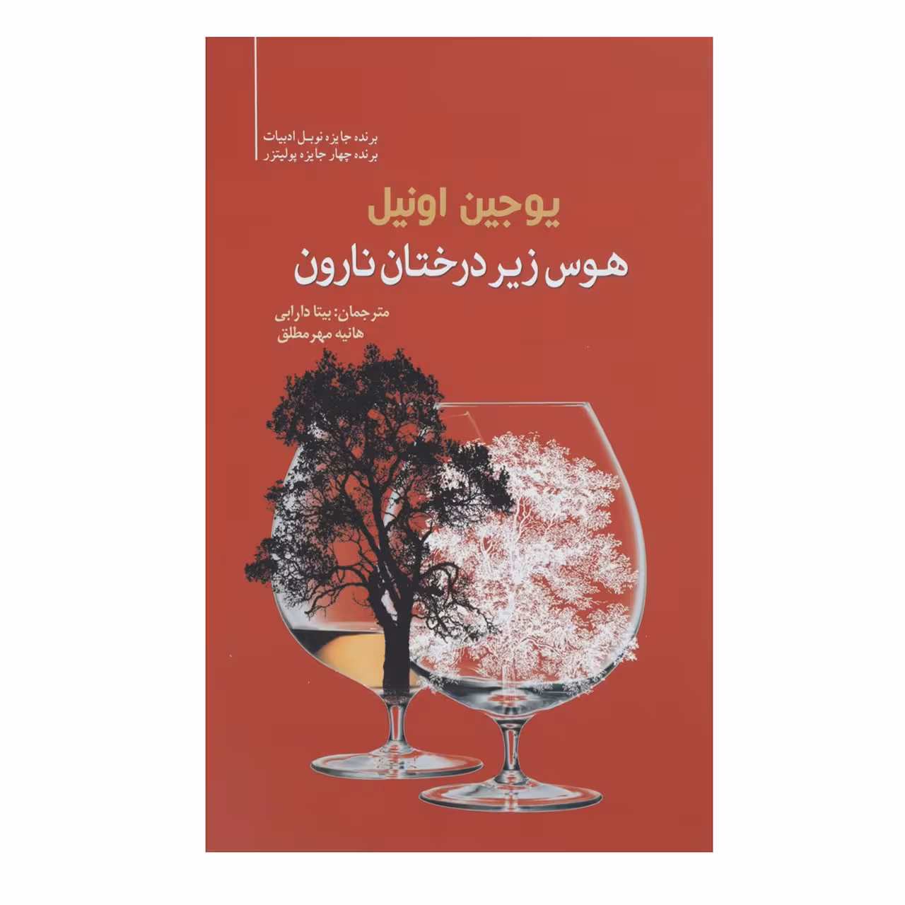 کتاب هوس زیر درخت نارون اثر یوجین اونیل