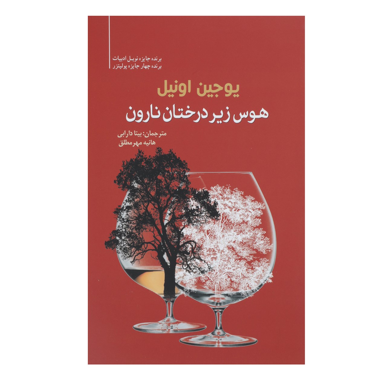 کتاب هوس زیر درخت نارون اثر یوجین اونیل