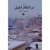 کتاب در انتظار ابابیل اثر حسین فخری نشر آمو
