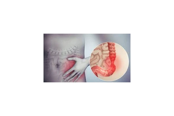 فایل IBS - کتابخانه مجازی واتیکان