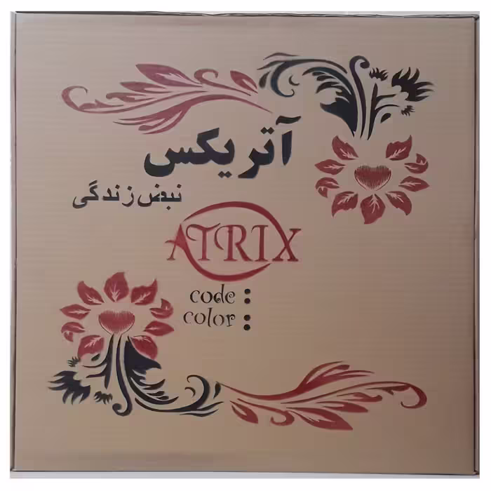 آینه آتریکس کد AM012