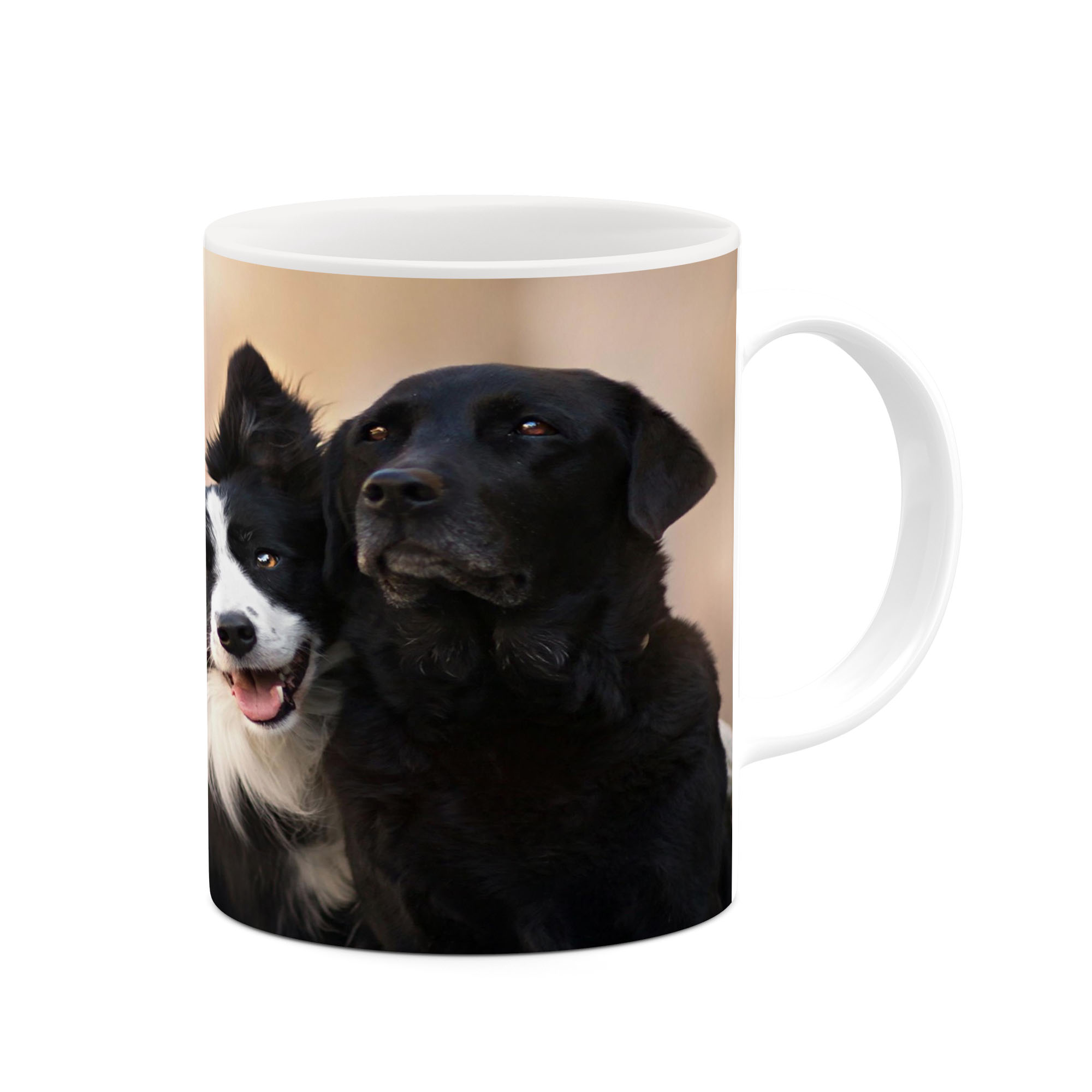 ماگ کاکتی طرح سگ مدل mgs17262