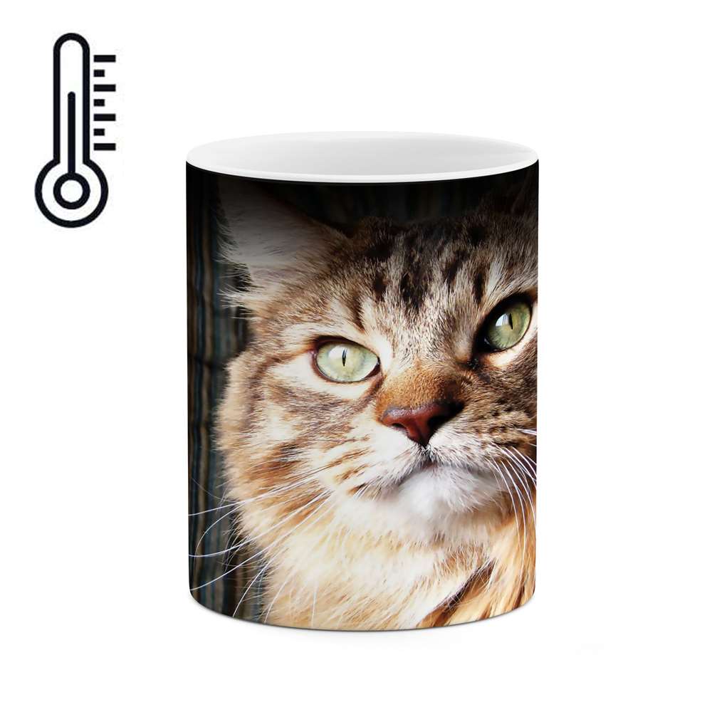 ماگ حرارتی طرح گربه مدل mgh02365