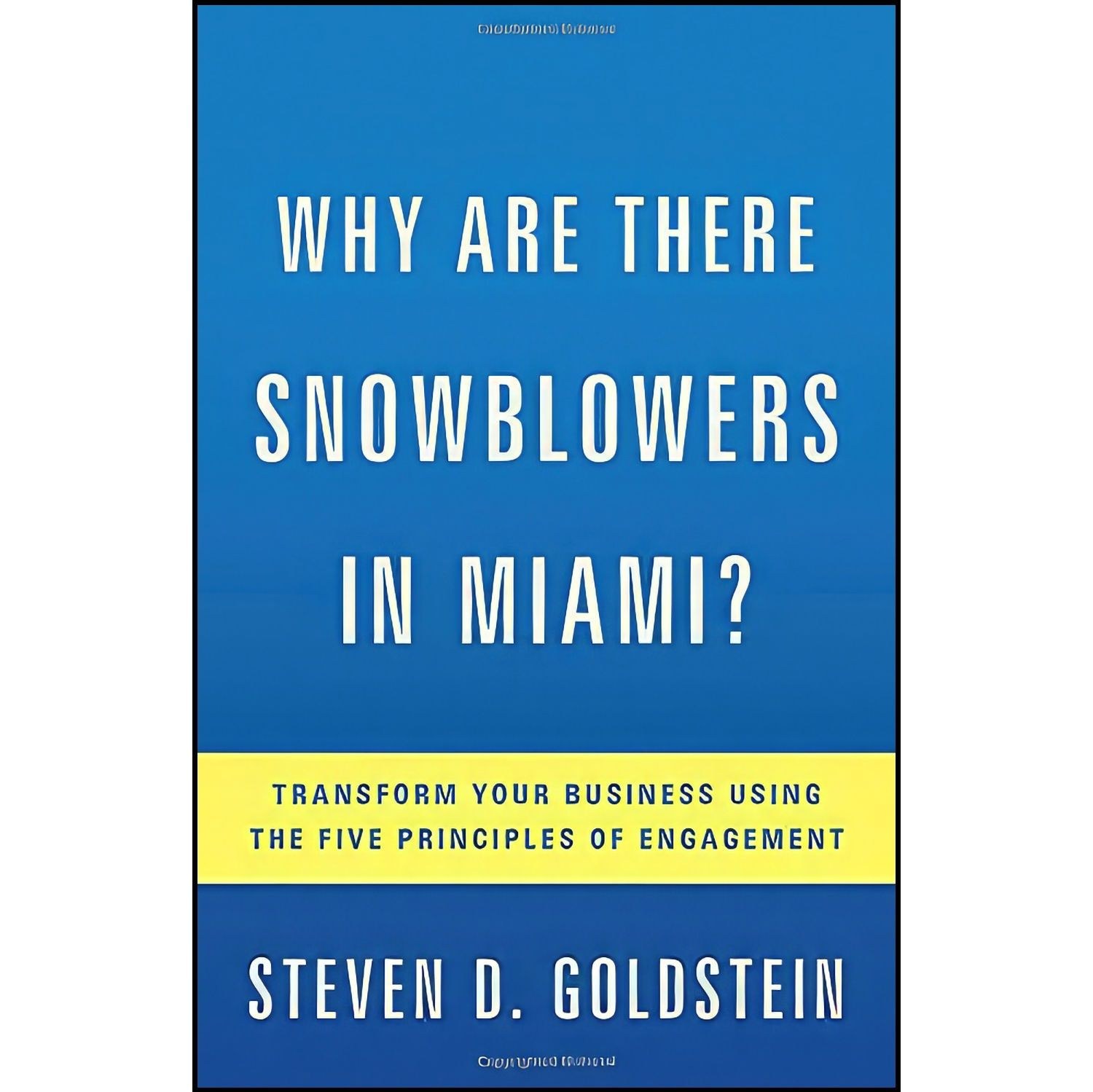 کتاب زبان اصلی Why Are There Snowblowers in Miami اثر Steven D Goldstein