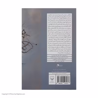 کتاب بانو گوزن اثر مريم حسينيان نشر چشمه