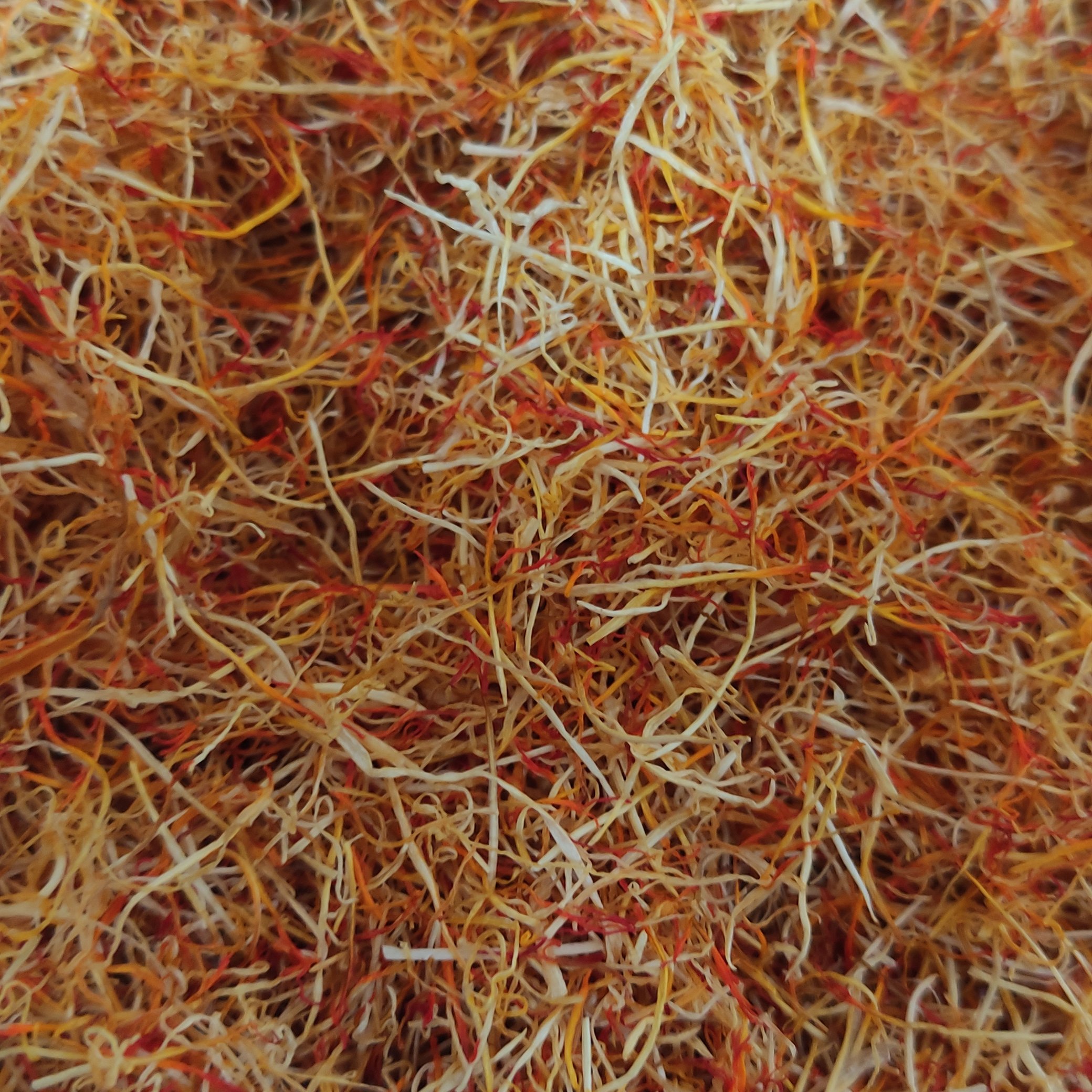 (پک 5مثقالی)ریشه زعفران زعفرانیه