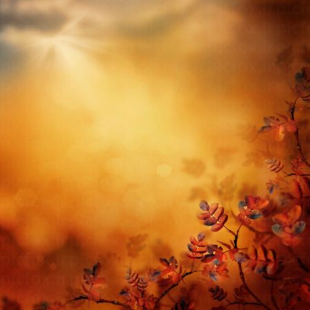 خرید و دانلود عکس Nature-Part-22 کد 36110 | پیک فاکس | Pic Fox