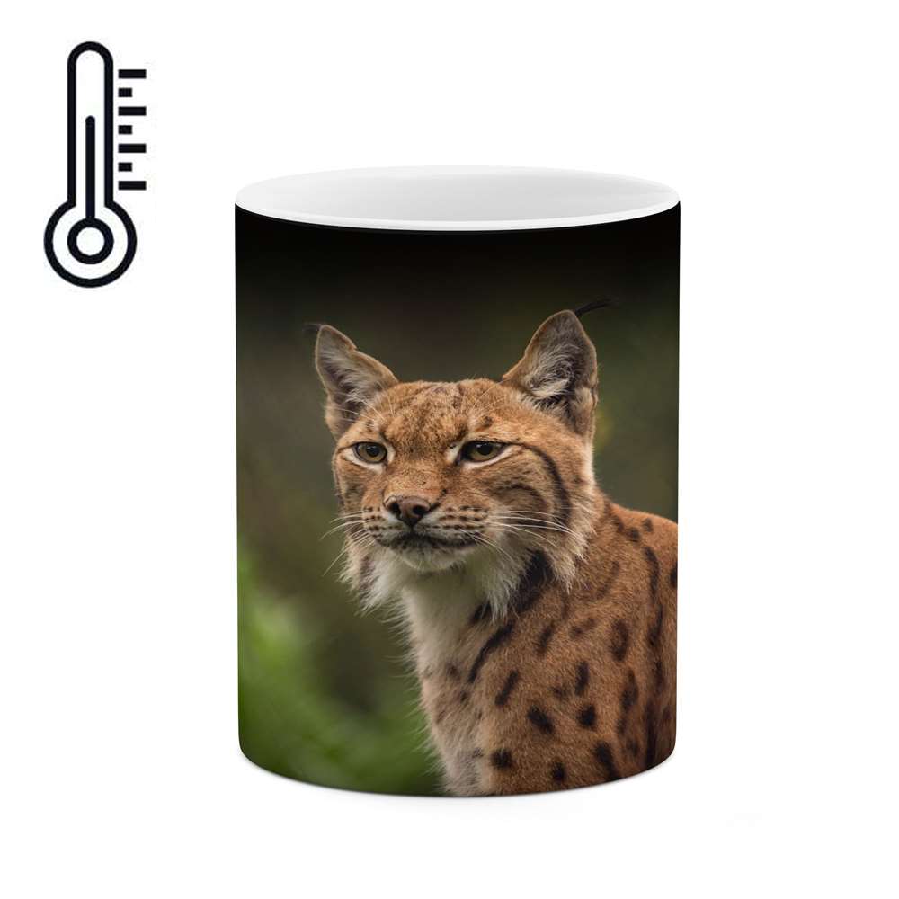 ماگ حرارتی کاکتی طرح گربه سان مدل mgh16184