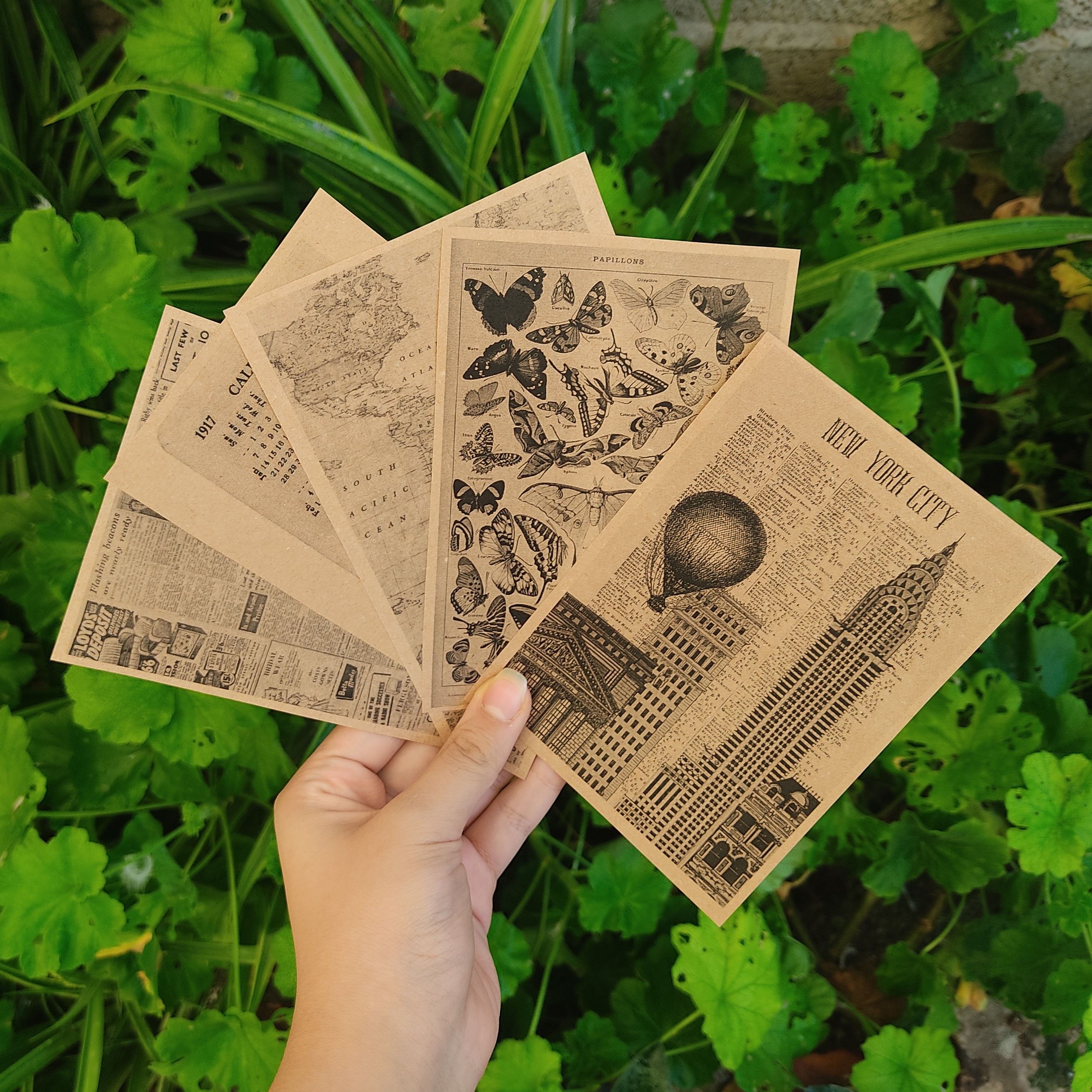 پک پوستر طرح شماره 1 پروانه ای کرافت پنج عددی a6 ونتیج کلاسیک کرومی