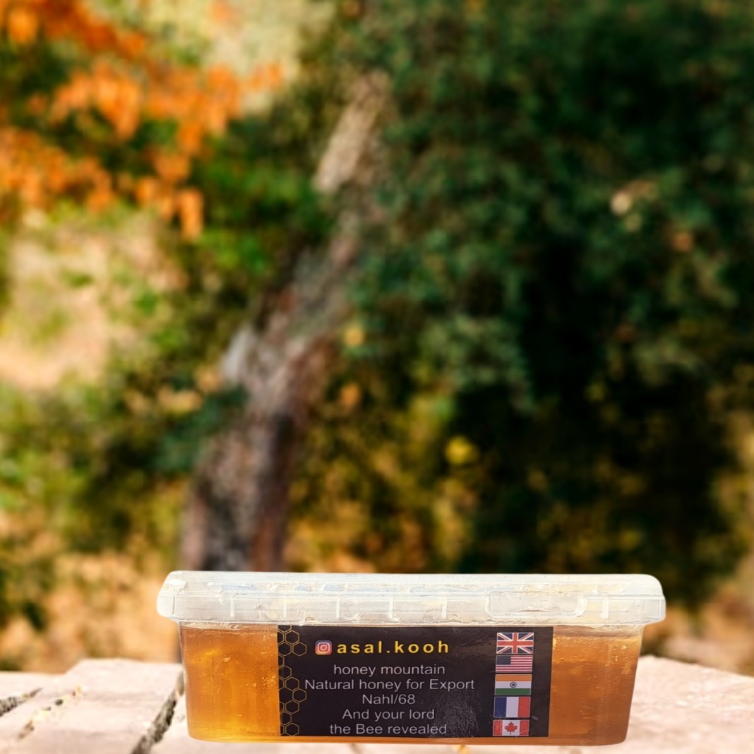 عسل طبیعی جنگلی با موم(مستقیم از زنبوردار)(یک کیلویی)(ارسال رایگان)