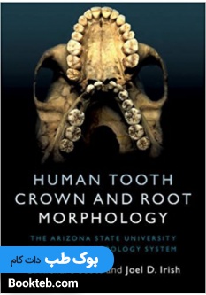 Human Tooth Crown and Root Morphology