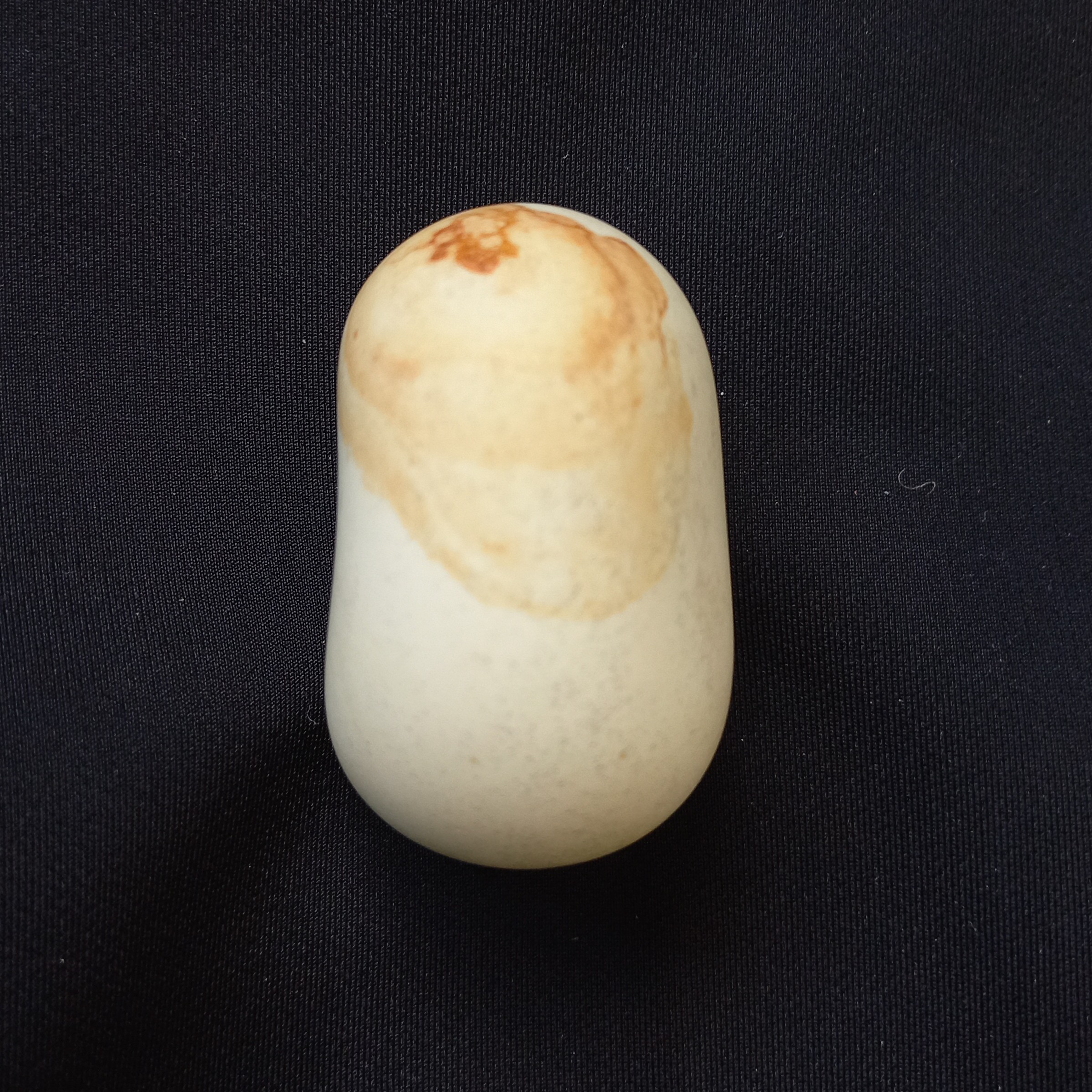 سنگ آسیاب کد 1000