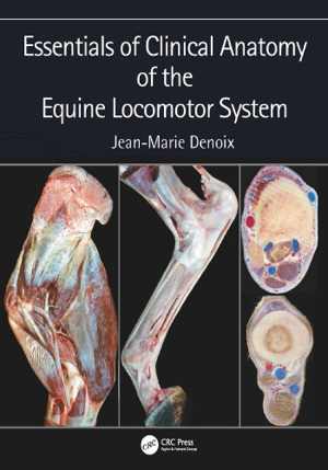 [PDF] دانلود کتاب Essentials Of Clinical Anatomy Of The Equine Locomotor System, 2019
