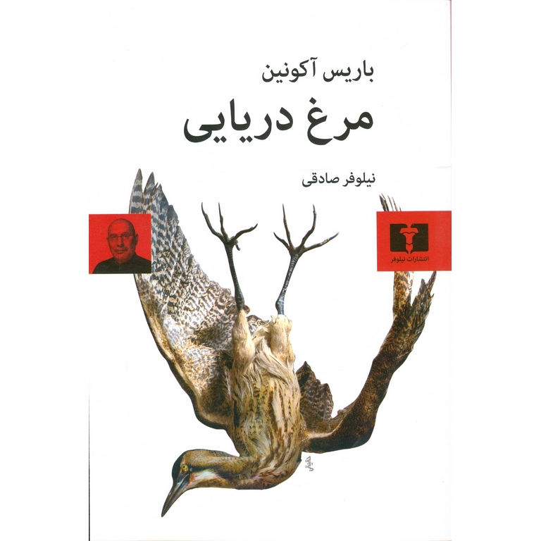 مرغ دریایی