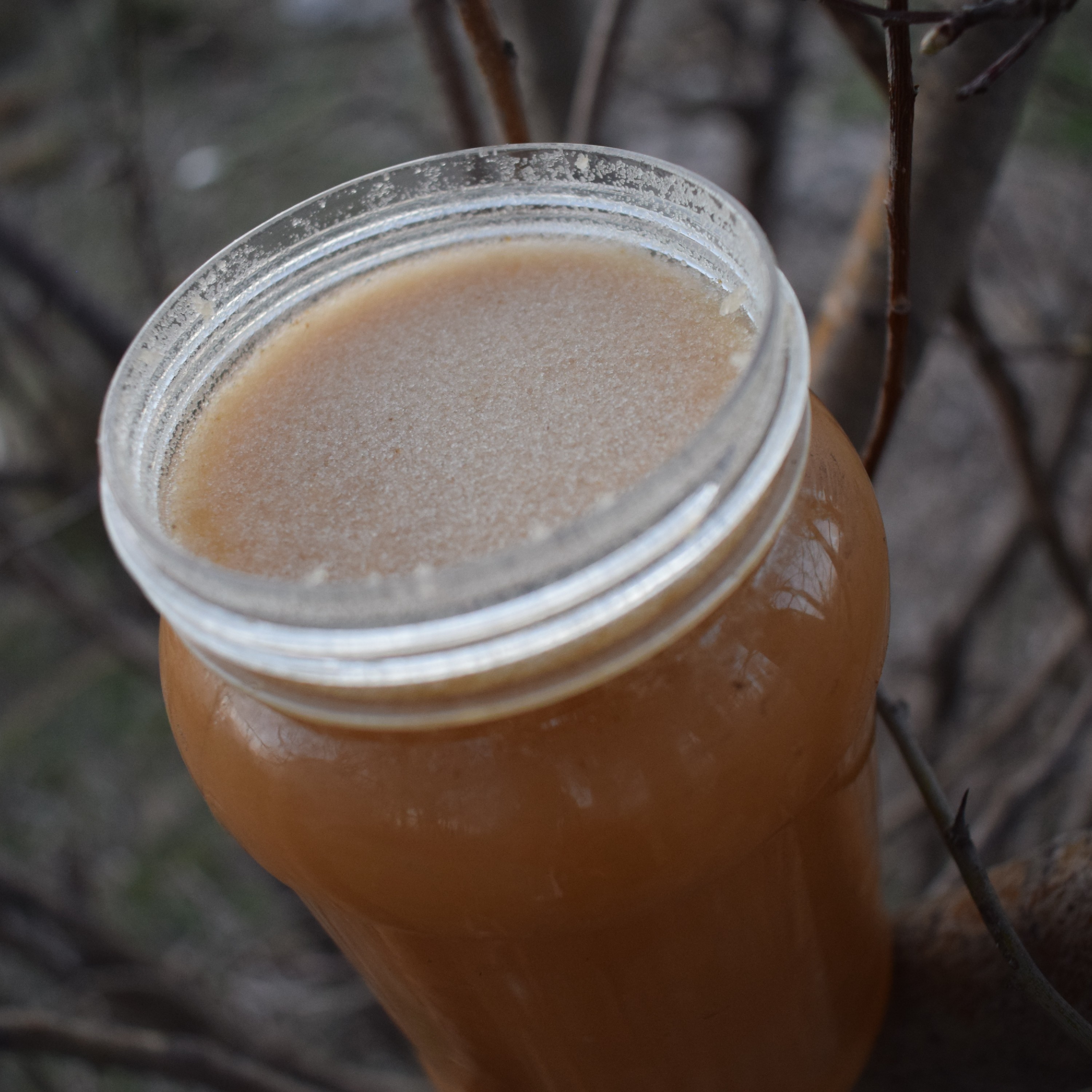 عسل رس بسته خارشتر کردستان طعم و عطر خاص و بینظیر (یک کیلو)